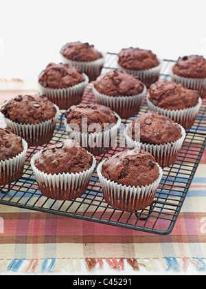 Muffin al cioccolato, close-up Foto Stock