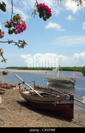 Il Kenya, l'arcipelago di Lamu, Pate Island, Pate Town, barca ormeggiata presso la spiaggia Foto Stock