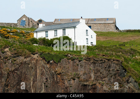 Ramsey Island, RSPB Riserva Naturale, Nord Pembrokeshire, Galles Foto Stock