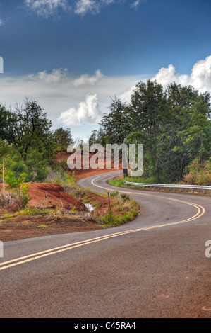 Il Waimea Canyon State Park Foto Stock