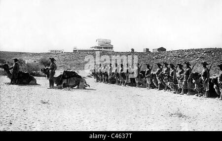 Il cammello tedesco Società di cavalleria delle truppe coloniali, 1916 Foto Stock