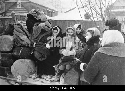 La seconda guerra mondiale la popolazione: tedeschi etnici nella Sovietunion, 1941-1945 Foto Stock