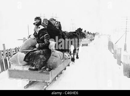 La seconda guerra mondiale la popolazione: tedeschi etnici nella Sovietunion, 1941-1945 Foto Stock