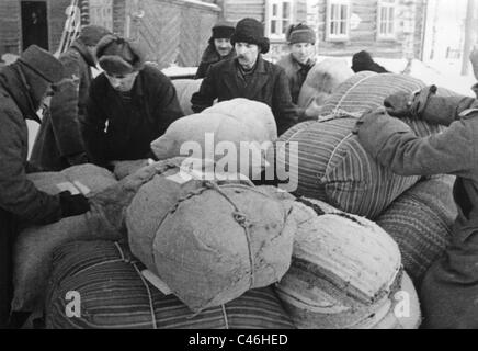 La seconda guerra mondiale la popolazione: tedeschi etnici nella Sovietunion, 1941-1945 Foto Stock