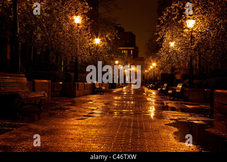 Alberi umido glisten Cours le Royer sulla notte piovosa nella storica Vecchia Montreal Quebec Foto Stock