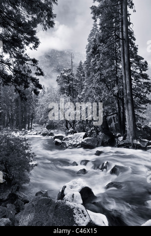 Creative romantico atmosferica in bianco e nero slow motion view della molla pesante runoff di acqua che fluisce oltre il rock rapids con neve fresca, di nebbia e nuvole Foto Stock