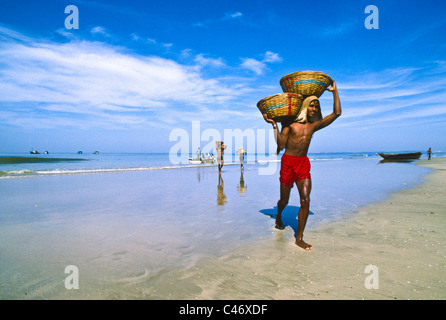 Cestini di scarico del pesce dalle barche sulla spiaggia di Calva in Goa, India Foto Stock