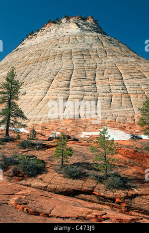 Il appropriatamente chiamato Checkerboard Mesa è uno dei molti Navajo i monoliti di pietra arenaria a lato est dello Utah's Zion National Park. Foto Stock