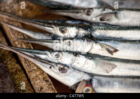 Argento lungo i pesci in asian street market, Thailandia Foto Stock