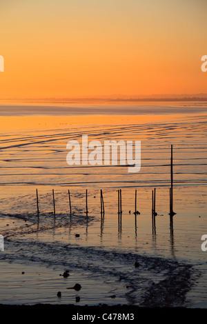 Tramonto sulla spiaggia e velme a Goldcliff vicino a Newport Gwent Wales UK Foto Stock