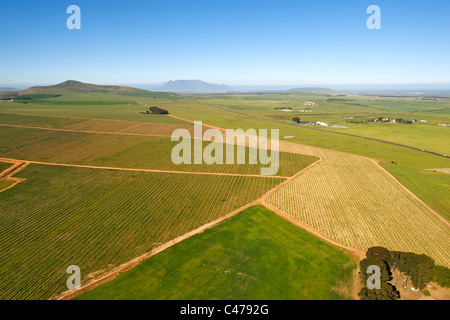 Veduta aerea i campi agricoli della Fisantekraal e area di Filadelfia a nord di Città del Capo in Sud Africa. Foto Stock