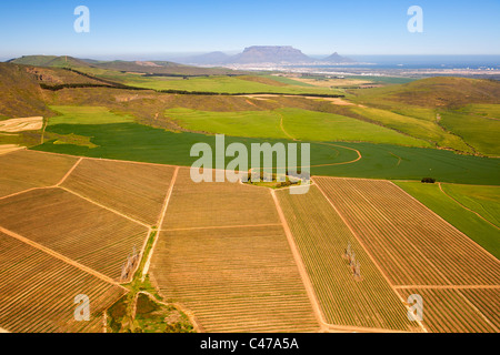 Veduta aerea dei campi agricoli nella Contermanskloof Fisantekraal e la zona a nord di Città del Capo in Sud Africa. Foto Stock