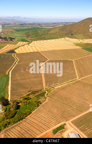 Veduta aerea dei campi agricoli nella Contermanskloof Fisantekraal e la zona a nord di Città del Capo in Sud Africa. Foto Stock