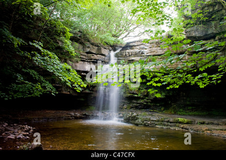 Gibsons grotta presso Bowlees, Teesdale, County Durham Foto Stock