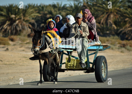 Chi viaggia in famiglia da asino carrello vicino a Douz, Tunisia Foto Stock