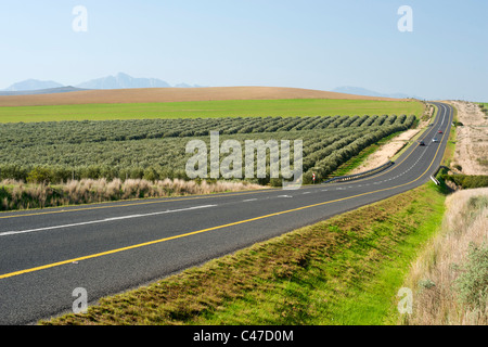 L'autostrada N2 vicino a Swellendam in Sud Africa la provincia del Capo occidentale.