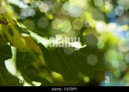 Abstract sfondo con colori riflessi di luce Foto Stock