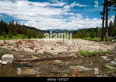 Nucleo di noce di cocco è usato come una base per la ri-piantando salici come parte dei crauti Creek stream progetto di restauro. Foto Stock