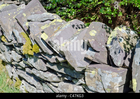 Parete di ardesia presso il Dinorwig dismesse miniera di ardesia, Snowdonia, Galles del Nord, Regno Unito Foto Stock