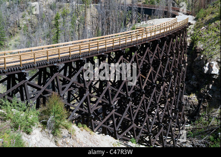 Nuovi tralicci in Myra Canyon Foto Stock