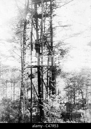 Ufficiali tedeschi su un posto di osservazione in russo in Polonia, 1915 Foto Stock