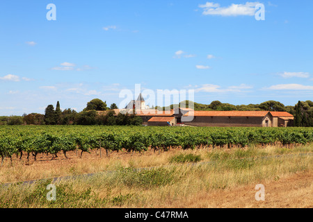 Tipico paesaggio francese con vigneto e case nei pressi di Valras Foto Stock