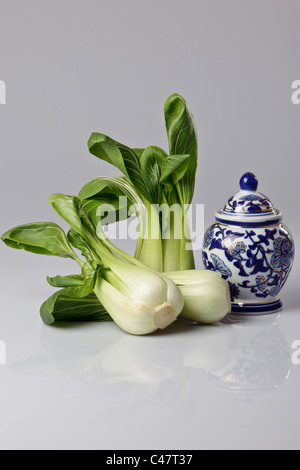 Tre teste di pak choi contro uno sfondo grigio. Foto Stock