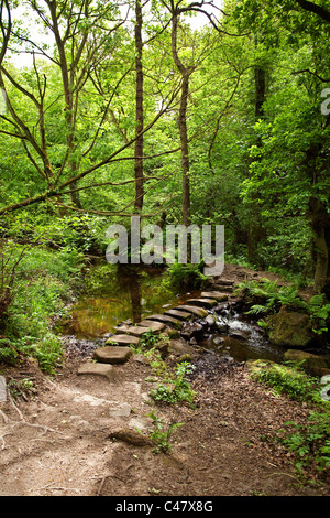 Pietre miliari attraverso il fiume Rivelin Sheffield South Yorkshire Regno Unito Foto Stock