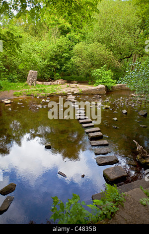 Pietre miliari attraverso il fiume Rivelin in Sheffield South Yorkshire Regno Unito Foto Stock