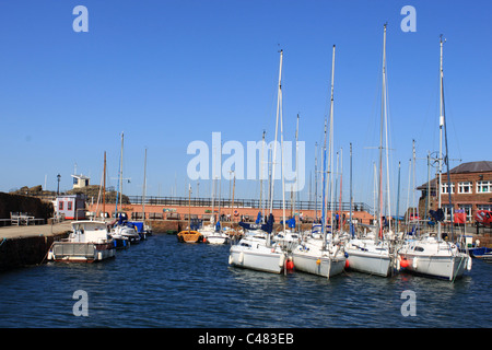 Barche ormeggiate nel porto a North Berwick East Lothian, Scozia. Foto Stock