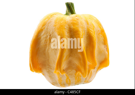 Zucca gialla isolato su sfondo bianco. Foto Stock