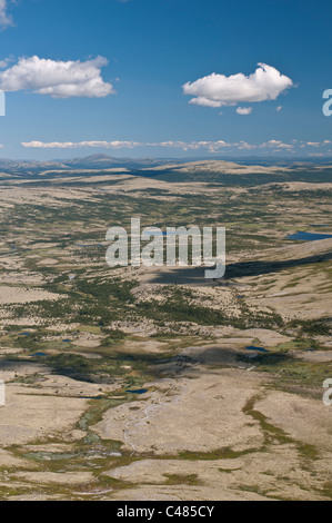 Landschaft im Alvdal Vestfjell, Hedmark, Norwegen, paesaggio, Norvegia Foto Stock