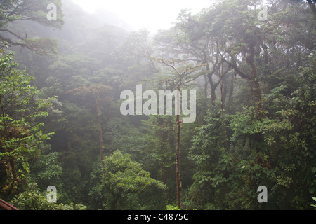 Monteverde Cloud Forest Preserve, Costa Rica Foto Stock