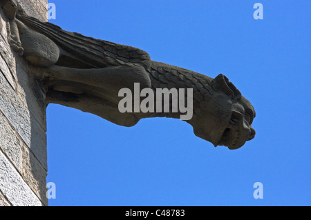 Gargoyle di Saint-Martin chiesa (Limoux) nel cielo blu di Occitanie Foto Stock