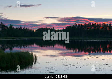 Un Abendstimmung einem Waldsee, Rena, Hedmark, Norwegen, atmosfera serale, Lago, Norvegia Foto Stock