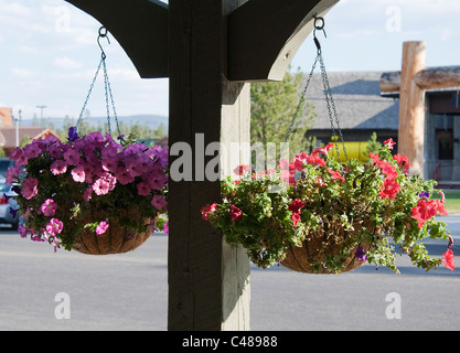 Cestini di fiori appesi da una ruvida conci di fascio di legname di fronte a negozi di articoli da regalo in West Yellowstone, Montana, USA. Foto Stock