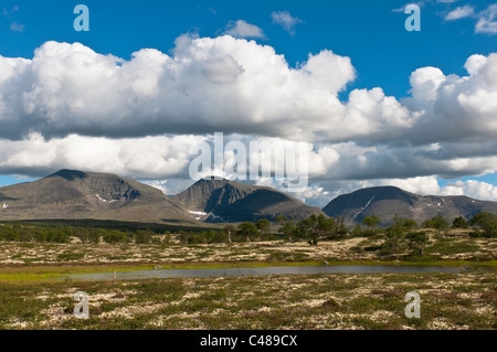 Blick vom Berg Rendalssoelen, Rendalen, Hedmark, Norwegen, vista dalla montagna, Norvegia Foto Stock