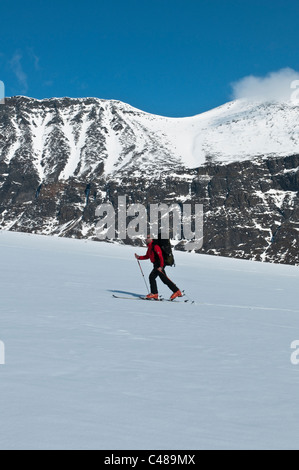 Skitourengeher im Tal Stuor Reaiddavaggi, Kebnekaisefjaell, Norrbotten, Lappland, Schweden Foto Stock