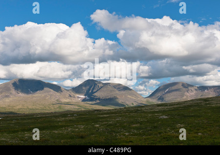 Blick vom Berg Rendalssoelen, Rendalen, Hedmark, Norwegen, vista dalla montagna, Norvegia Foto Stock