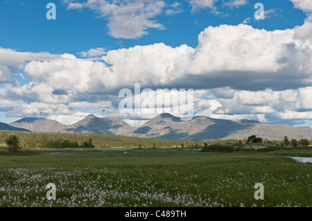 Blick vom Berg Rendalssoelen, Rendalen, Hedmark, Norwegen, vista dalla montagna, Norvegia Foto Stock