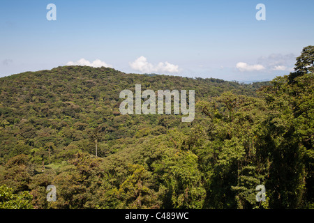 Monteverde Cloud Forest Preserve, Costa Rica Foto Stock