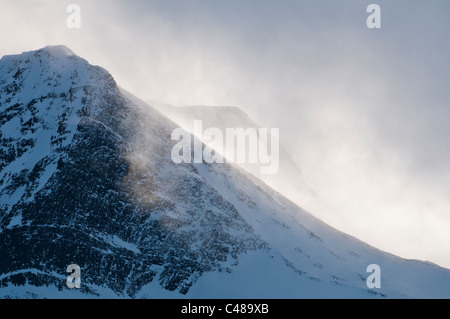 Lichtstimmung im Tal Stuor Reaiddavaggi, Kebnekaisefjaell, Norrbotten, Lappland, Schweden Foto Stock