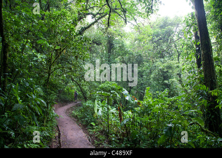 Monteverde Cloud Forest Preserve, Costa Rica Foto Stock