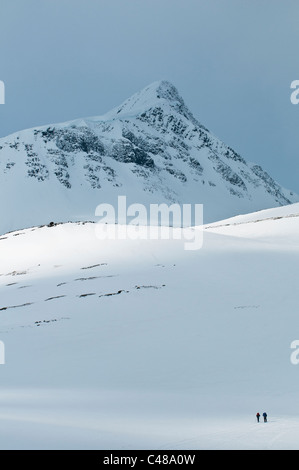 Skifahrer mit Rucksaecken im Tal Stuor Reaiddavaggi, Kebnekaisefjaell, Norrbotten, Lappland, Schweden Foto Stock