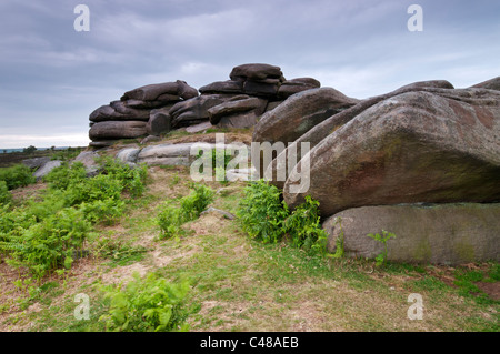 Rocce e verde giovane felci a Owler Tor, il Peak District, Derbyshire, Giugno 2011. Foto Stock