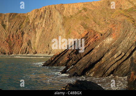 Scogliere a Hartland Quay, che mostra strati di roccia, North Devon, Inghilterra, Regno Unito Foto Stock