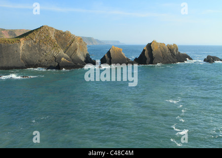 Rocce a Hartland Quay, vista sud, North Devon, Inghilterra, Regno Unito Foto Stock