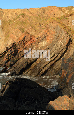 Scogliere a Hartland Quay, che mostra strati di roccia, North Devon, Inghilterra, Regno Unito Foto Stock