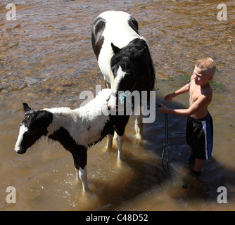 Un giovane ragazzo di zingari con un cavallo e un puledro nel fiume Eden a Appleby Horse Fair, Appleby-In-Westmorland, Cumbria, England, Regno Unito Foto Stock