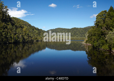 Forest riflessa nel fiume Gordon, Franklin-Gordon Wild Rivers National Park, la Tasmania, Australia Foto Stock